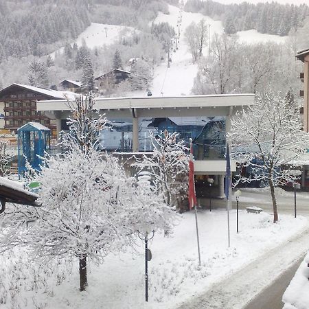 Haus Kleineisen by Châtel Reizen Zell am See Buitenkant foto
